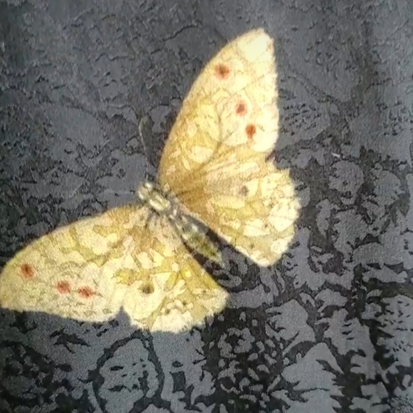 Vintage Signed Jim Thompson Botanical Butterfly Print Black Silk Blouse Size 8 - Picture 11 of 13